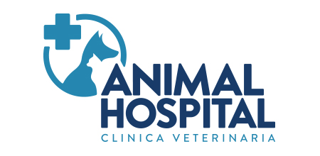 ANIMAL HOSPITAL