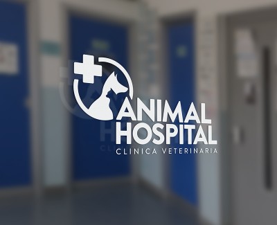 ANIMAL HOSPITAL BRAND IDENTITY
